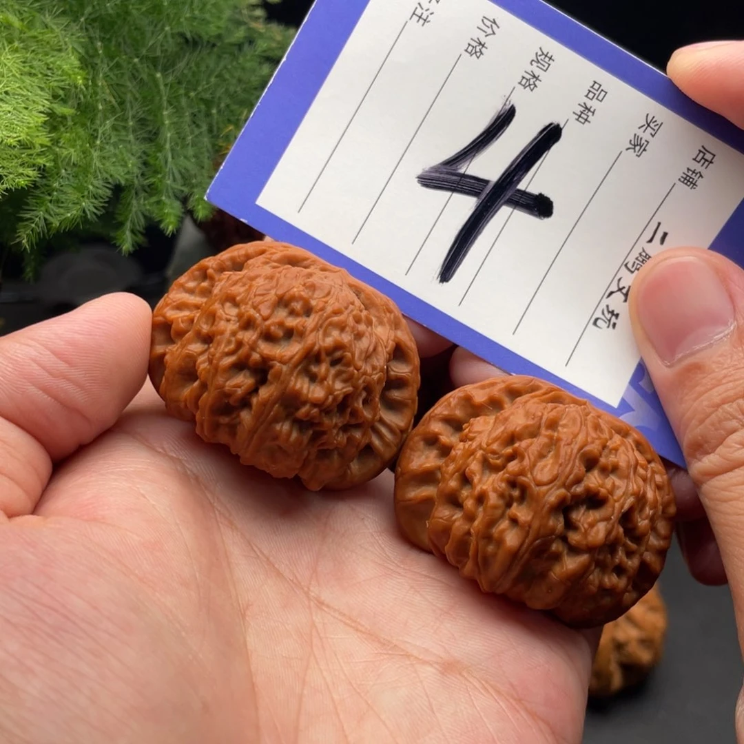 文玩核桃把件白狮子44