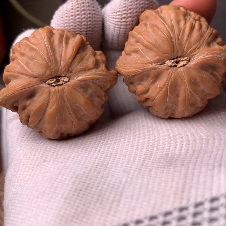 临***修铁锤19只的数量和价格