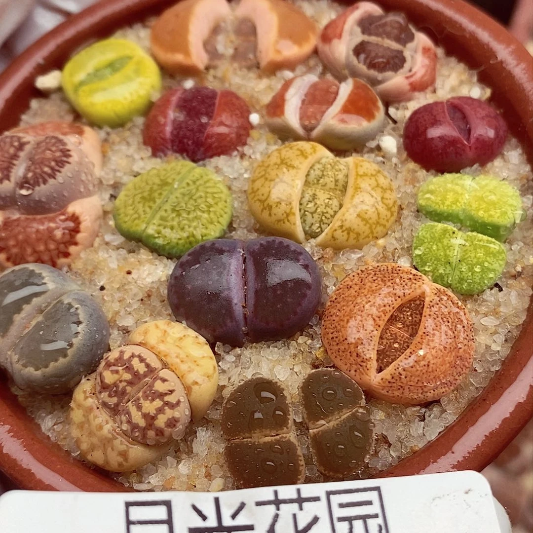 在**方我也会去看看我在干些443