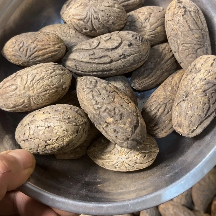 青***蛙千眼菩提吊坠千眼菩提107号