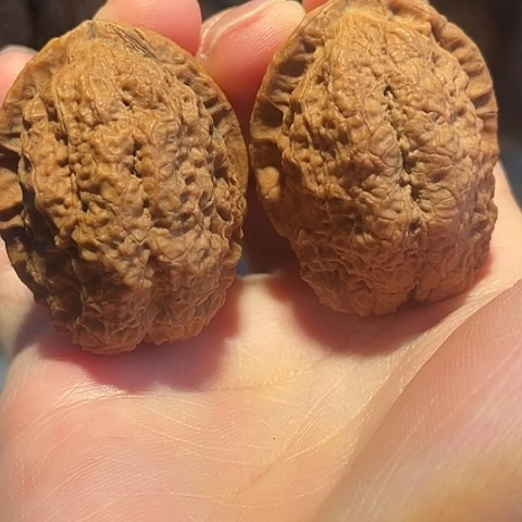 把件文玩核桃合十印带彩39