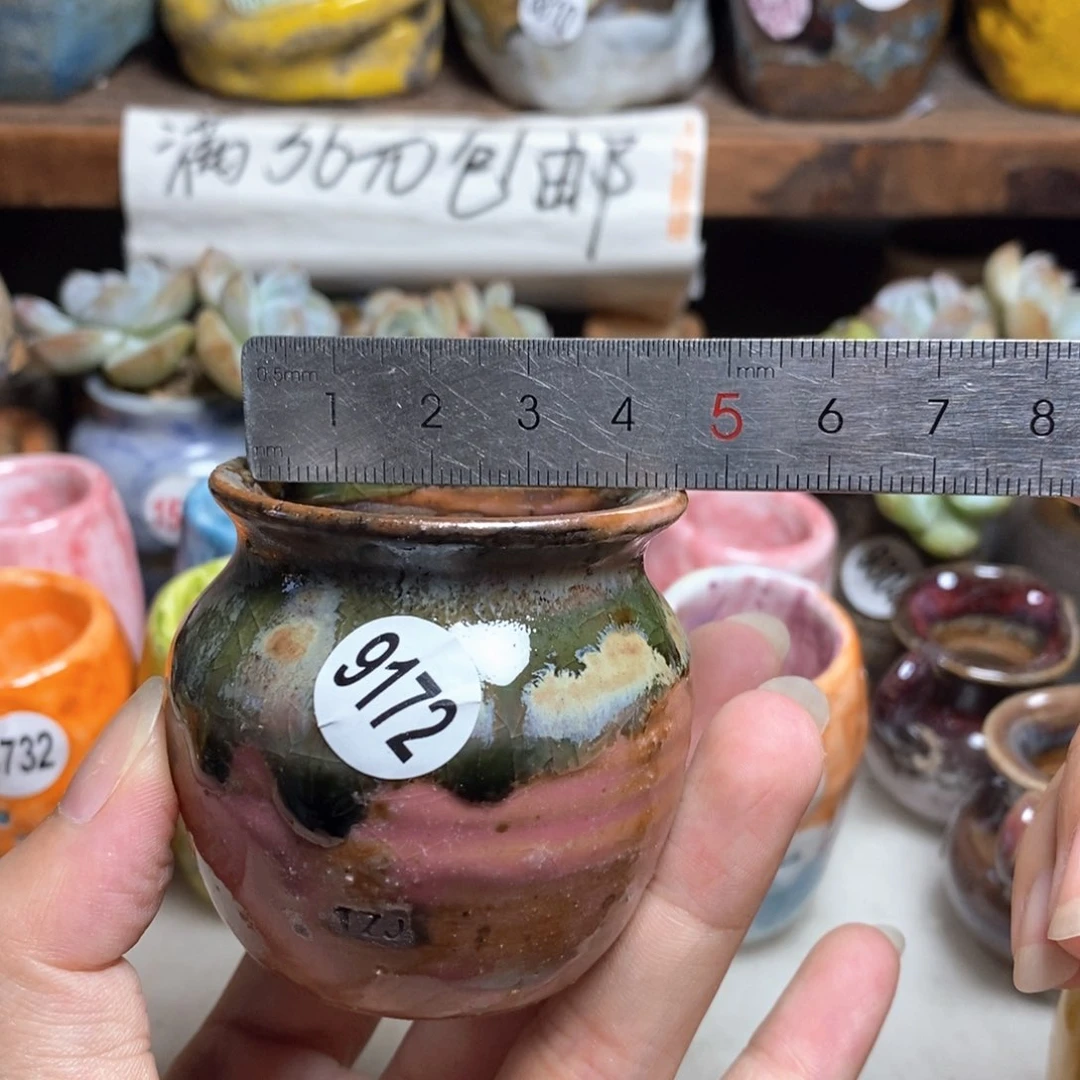 拍5送一个小礼物