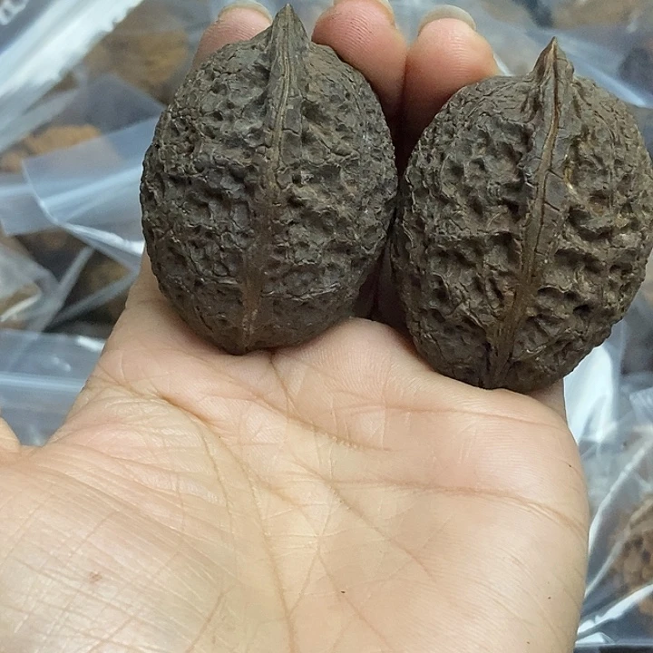 文玩核桃把件云南铁核桃基地81