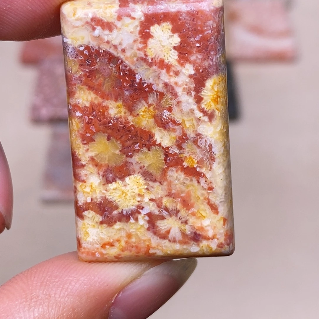 c***兔硅化玉合金珊瑚玉