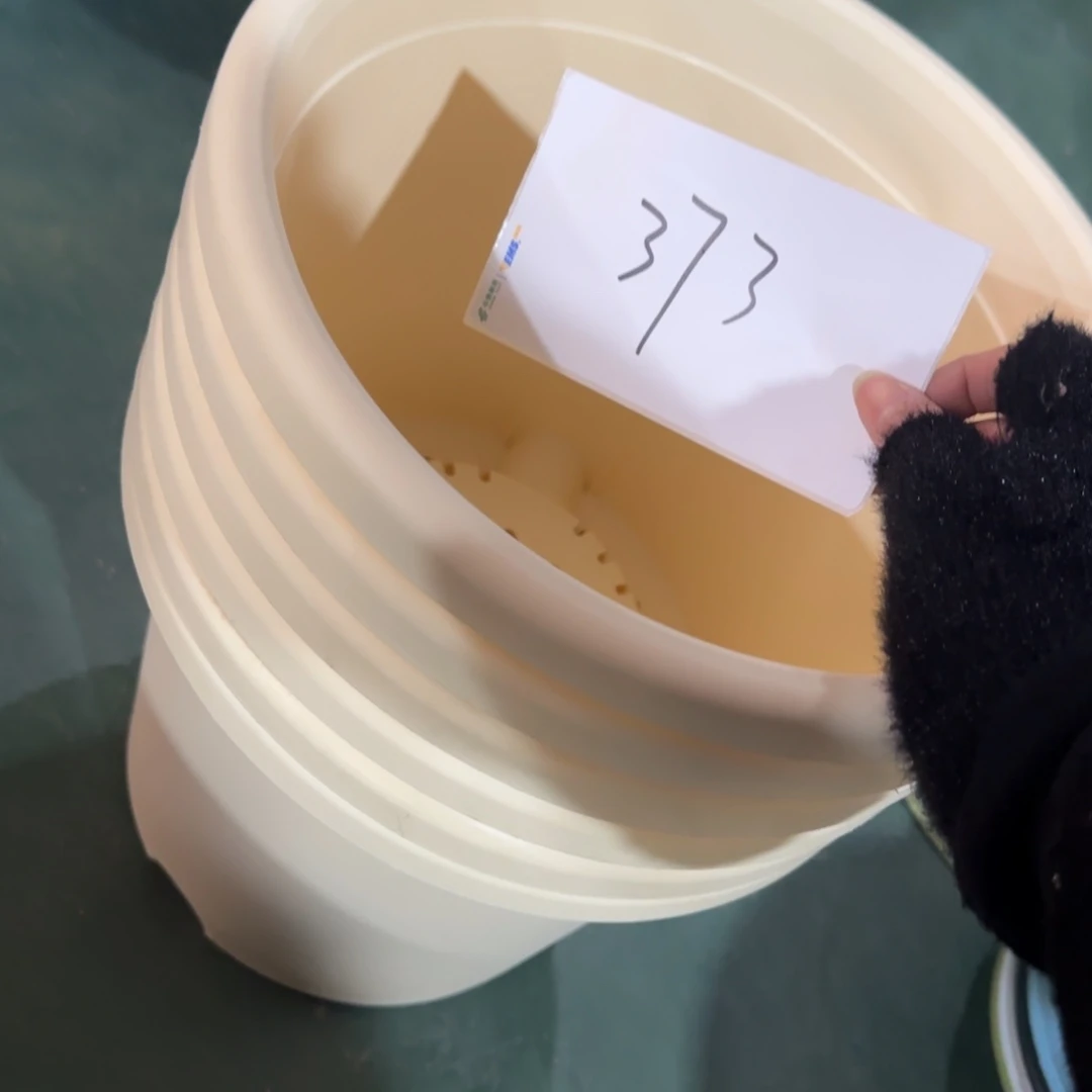 树脂编号373微瑕