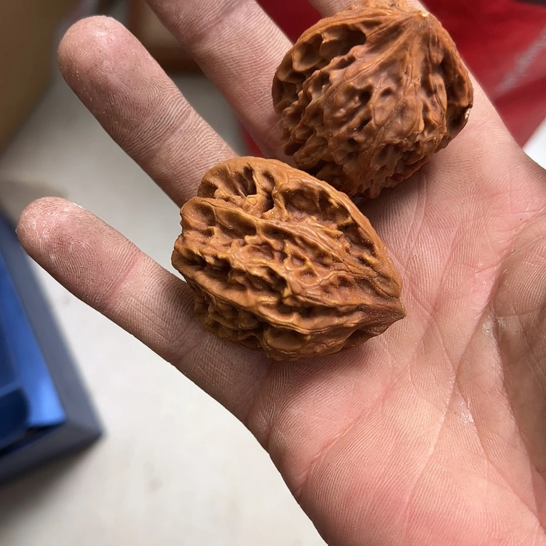 任***清杂色豆（科檀/科特迪瓦檀木）