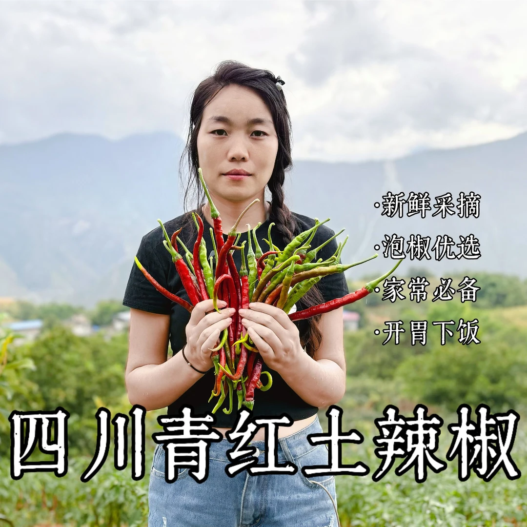 四川高山农家土辣椒青紫红辣椒二荆条辣椒剁椒朝天椒包邮