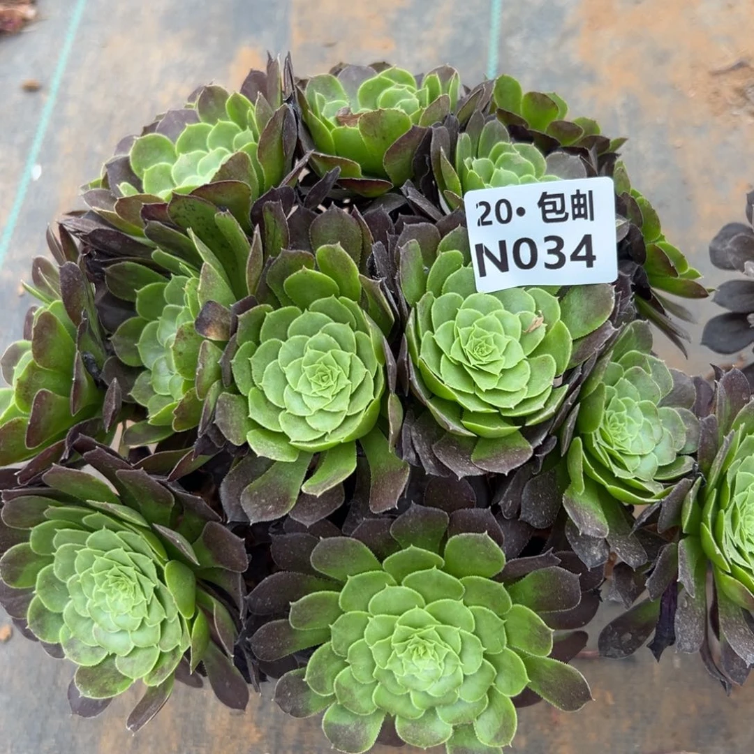 034冰铜满20包邮