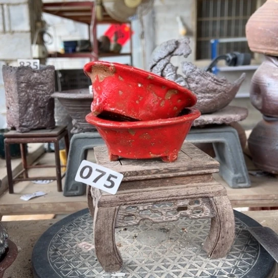 红陶张****景075…………………………