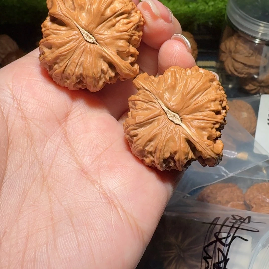 还*772号40尺寸闷白狮子头全品