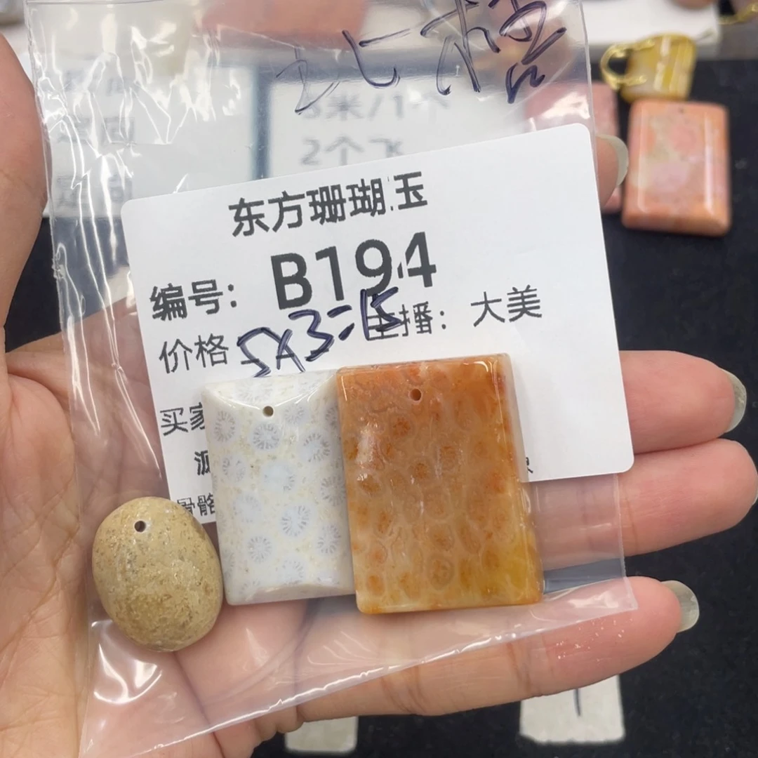 硅化珊瑚（珊瑚玉）合金颈饰北*