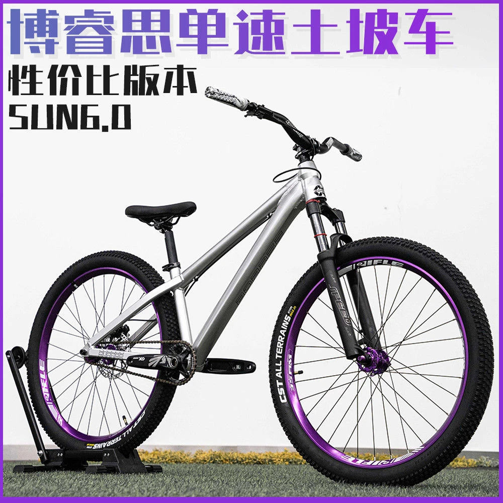 BOARSE博睿思SUN 6.0鱼尾叉单速土坡车铝合金车架山地车土越野车