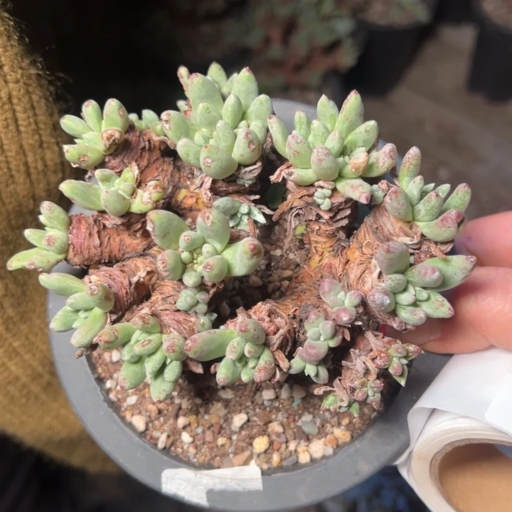 1267哈哈哈哈哈哈哈哈哈