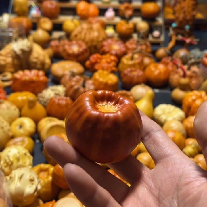 不***一聚宝盆墨西哥疙瘩葫芦