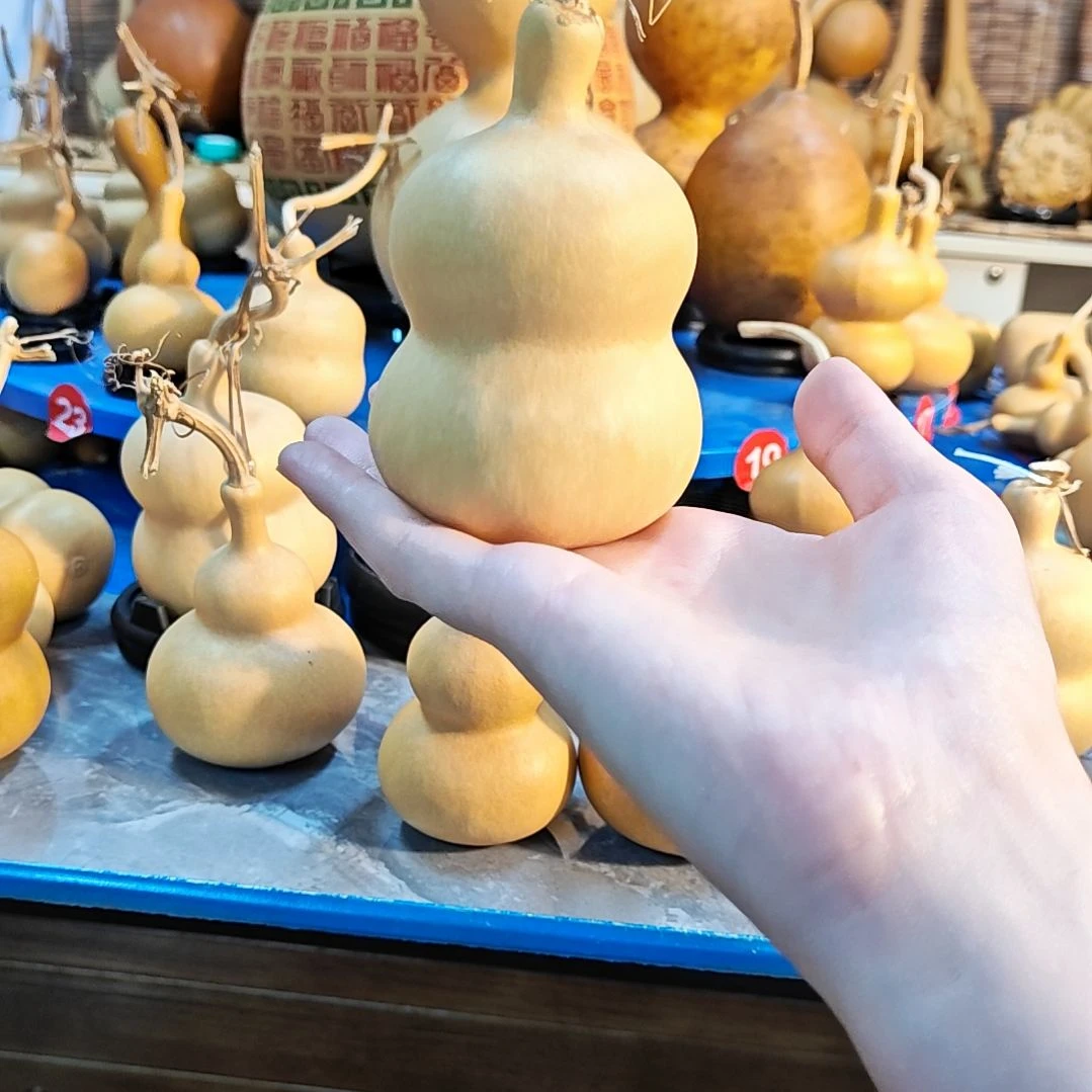 他他他他他他他他他他他他他他他他