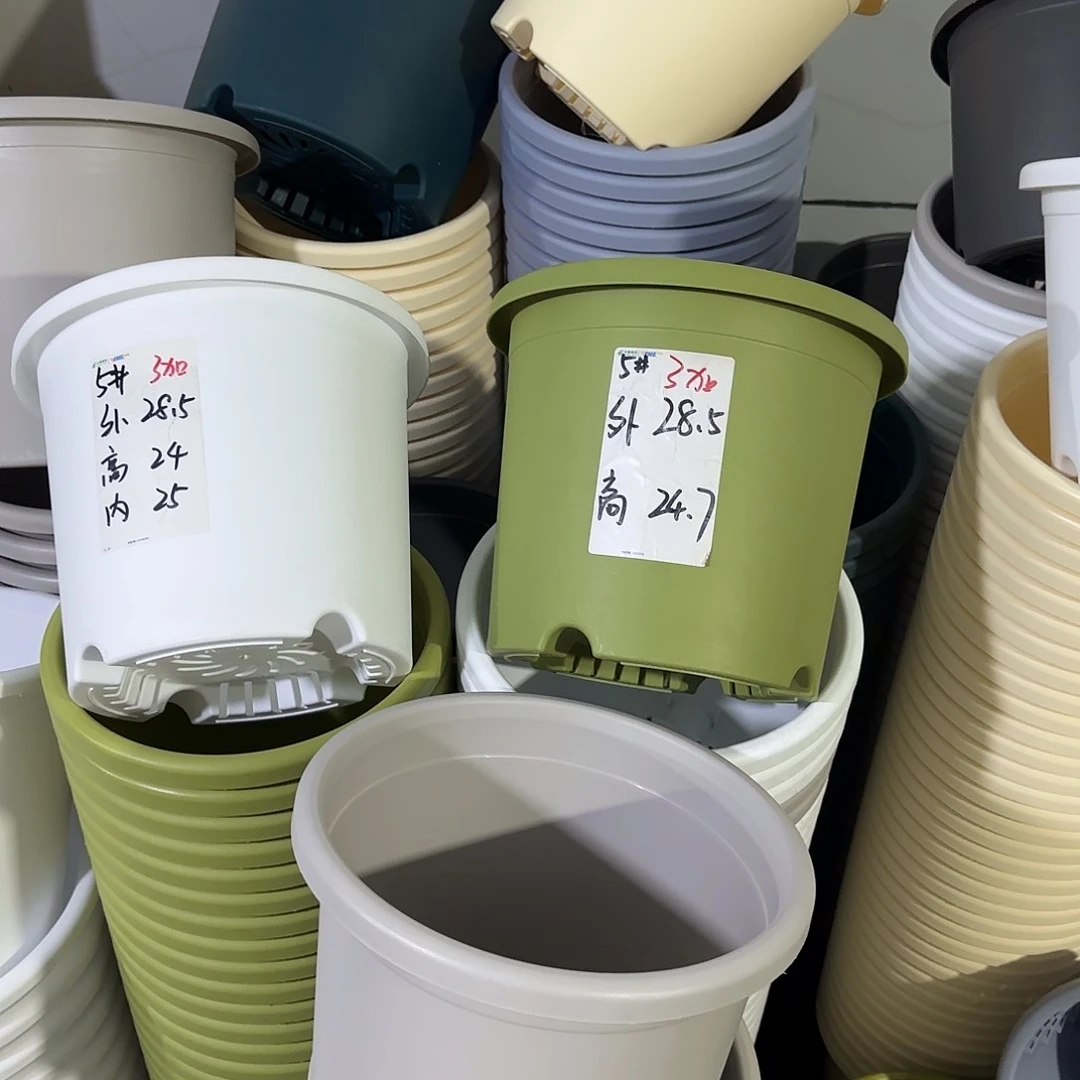 微瑕5号6个无托，果绿
