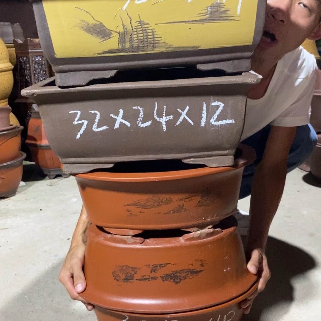 紫砂紫砂紫砂紫砂