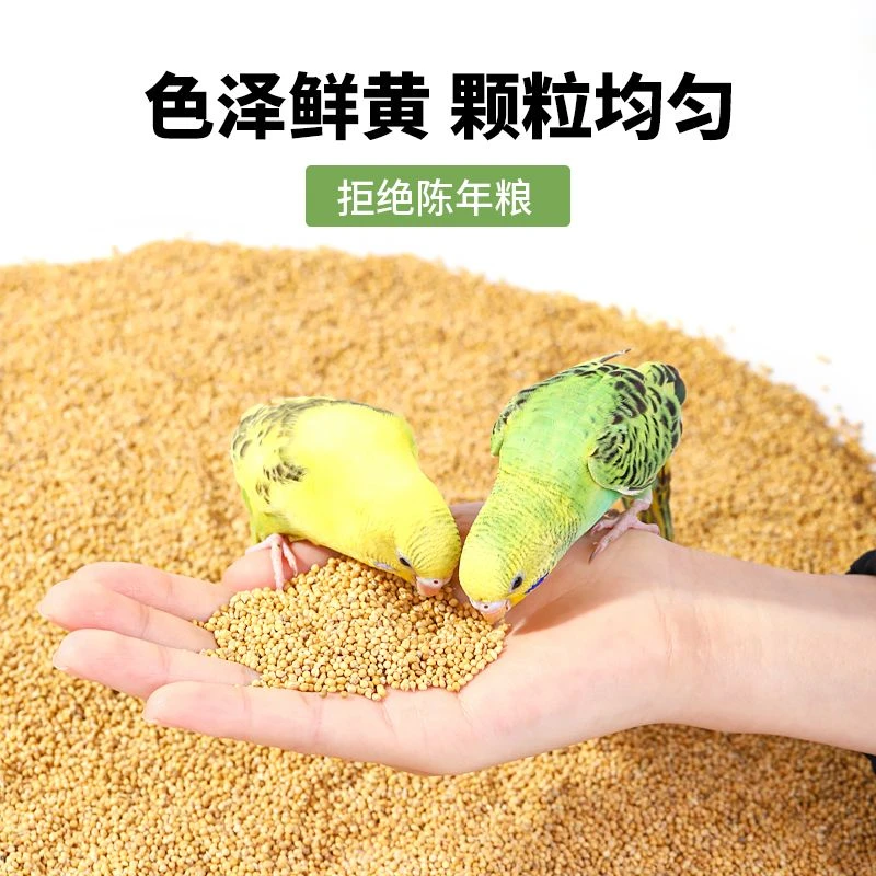 带壳黄谷子小米鸟食中小型鹦鹉饲料虎皮玄凤牡丹鸟粮