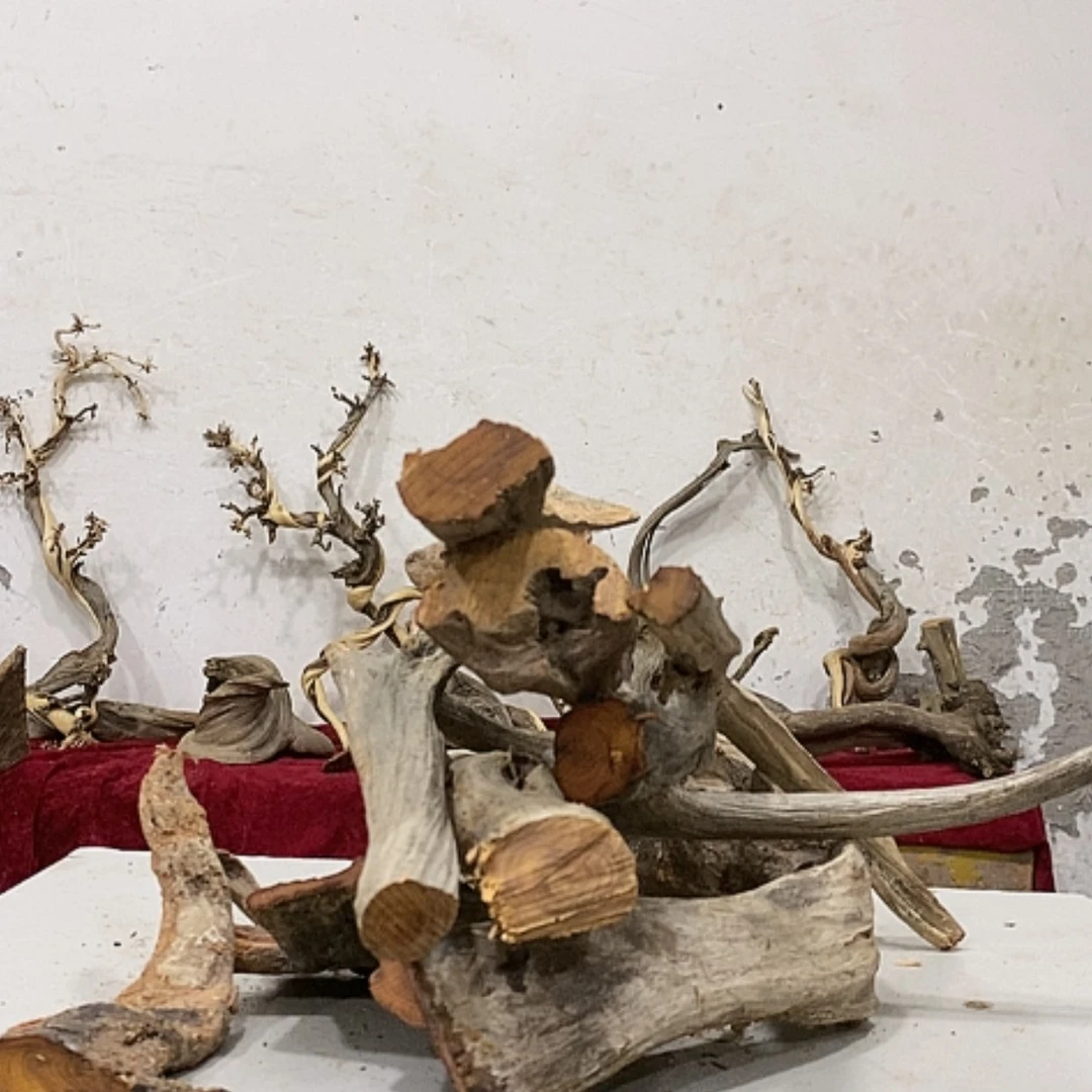 【闪购商品】柏木乌*邦我们都是好孩子