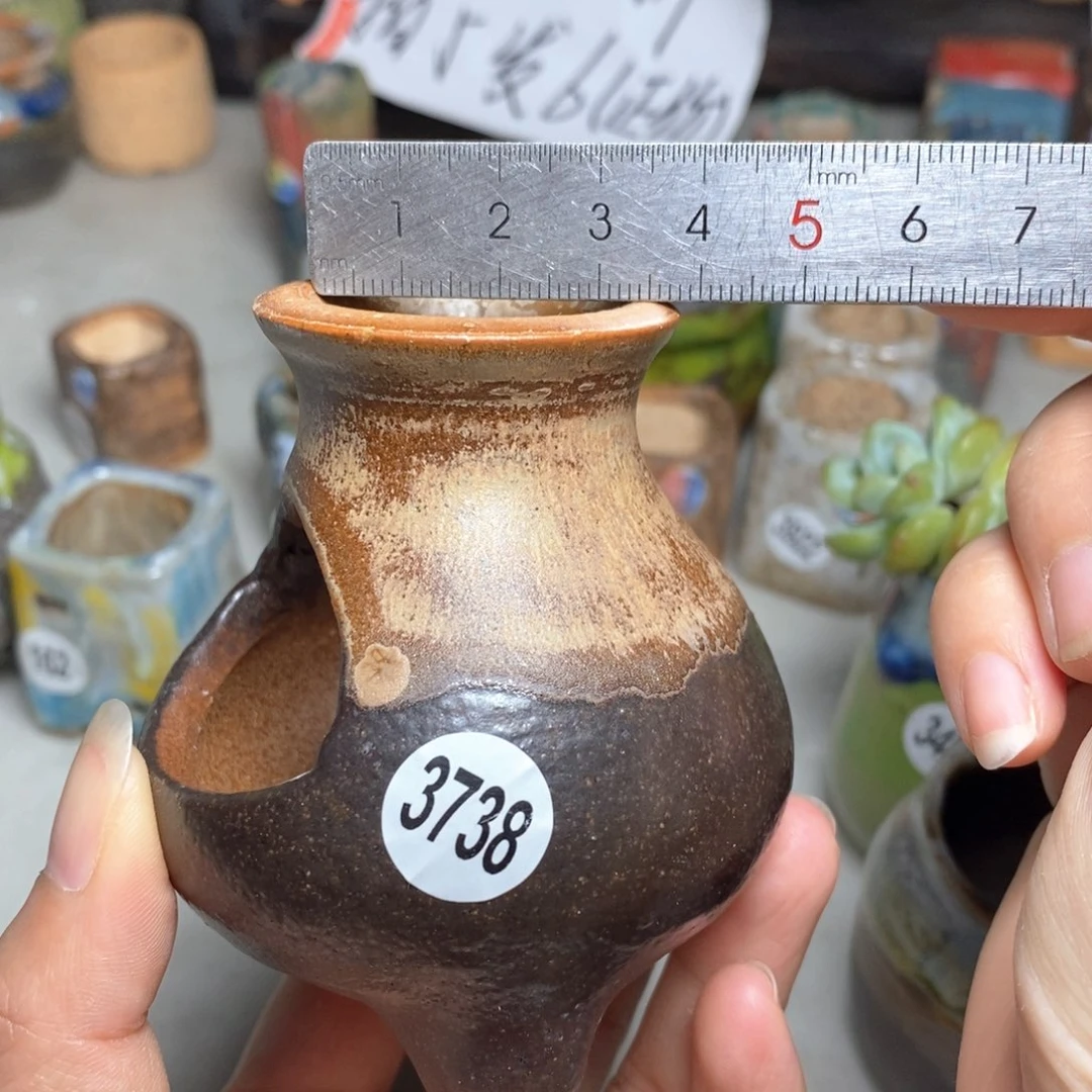 拍5送一个小礼物