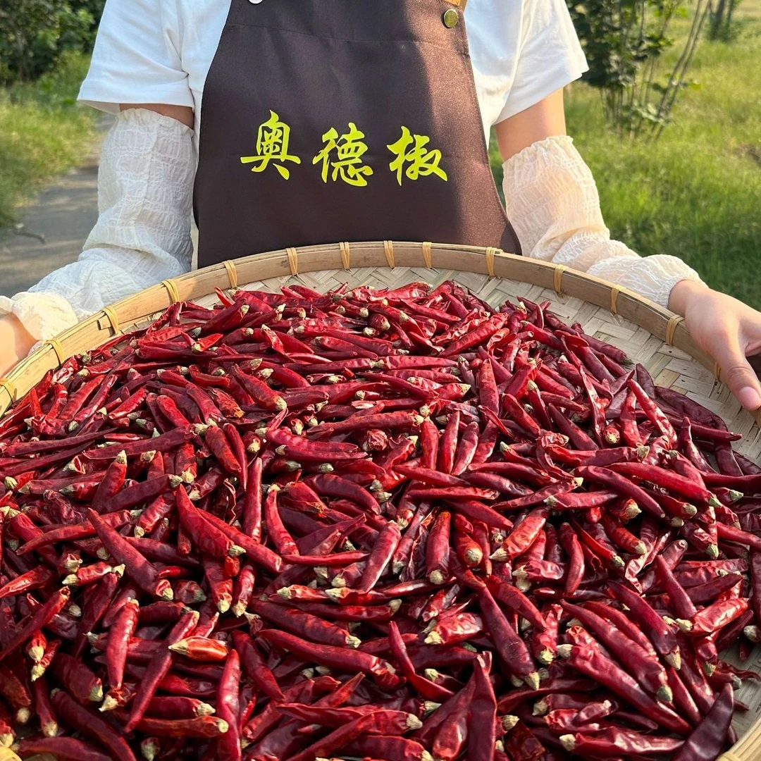 满天星自然晒干特辣干辣椒含朝天椒小米椒魔鬼辣奥德椒