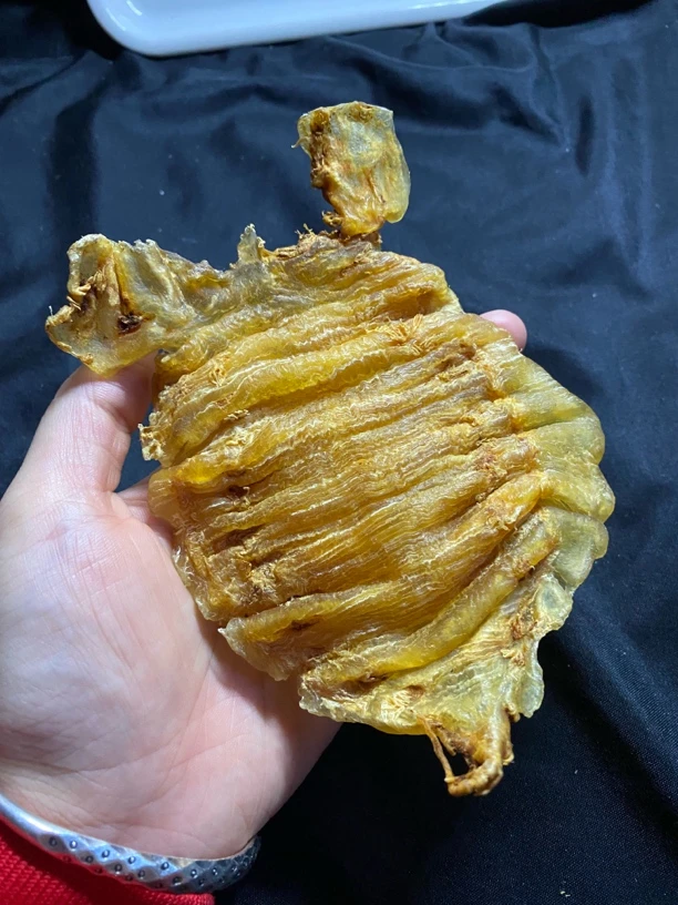 老大耳赤嘴公鱼胶一个按只卖