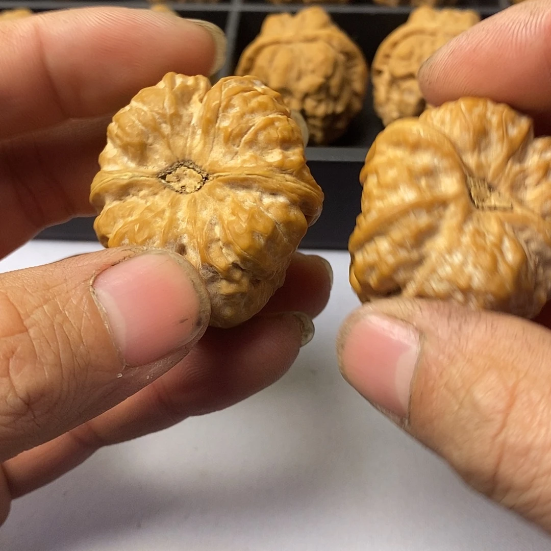 海****38尺寸5555555555