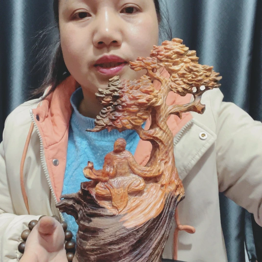噶****珍百年树的生长环境