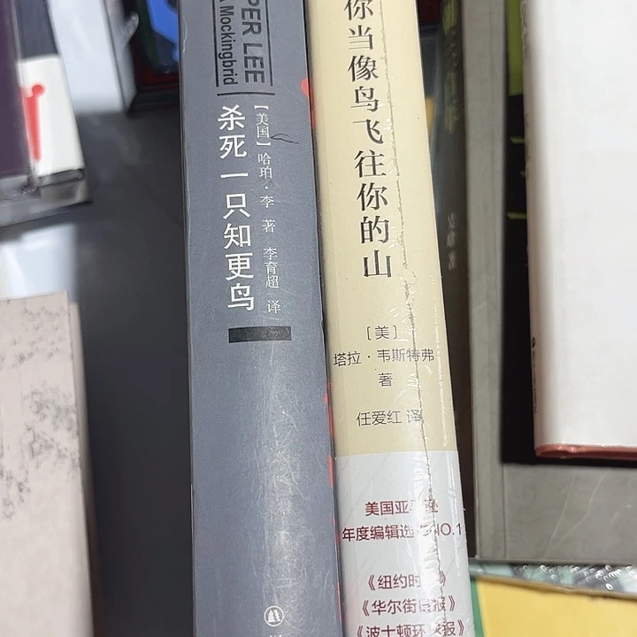 当鸟，知更鸟新书推荐