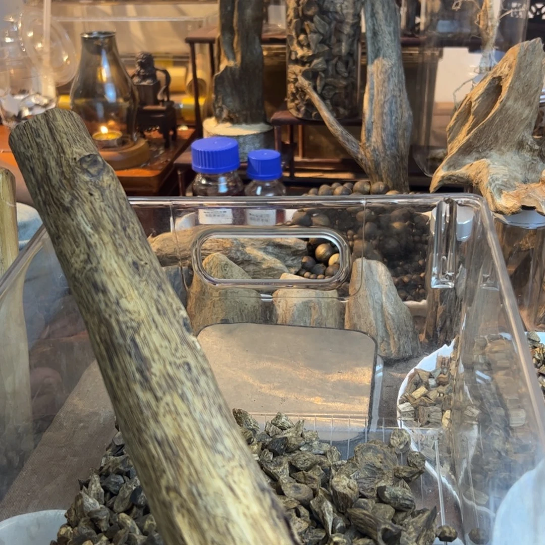 独***湖沉香碎屑沉香1000克