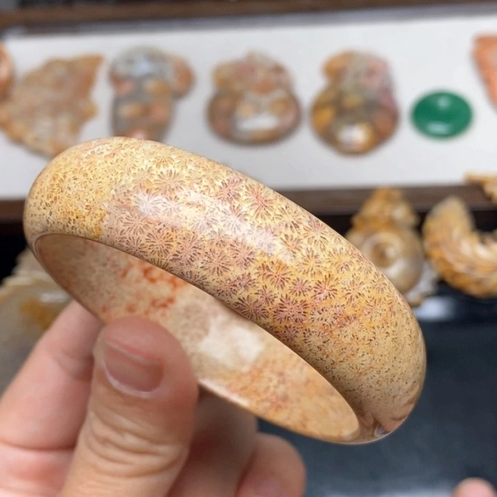 硅化珊瑚（珊瑚玉）手镯未镶嵌55.8