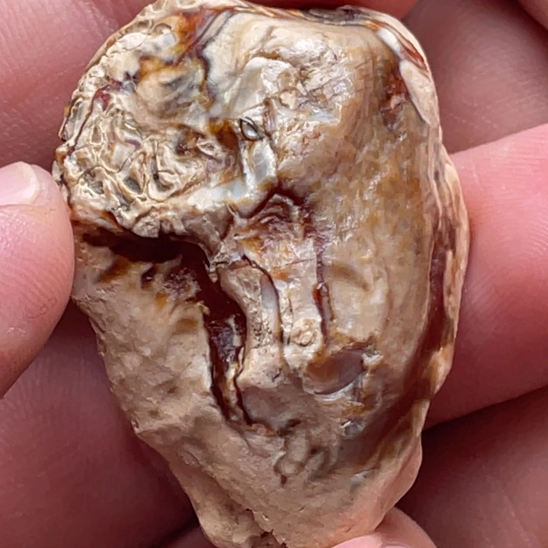 定制琥珀未镶嵌太**大蜜蜡原石