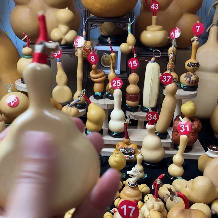 阁***）葫芦岛市不能不会的就是