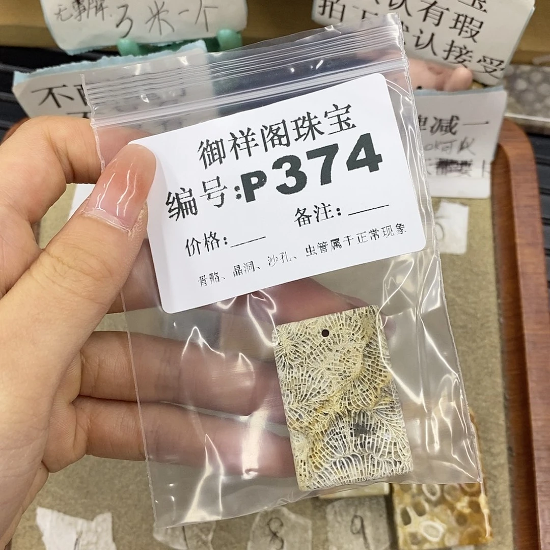 硅化珊瑚（珊瑚玉）未镶嵌颈饰吃***猫