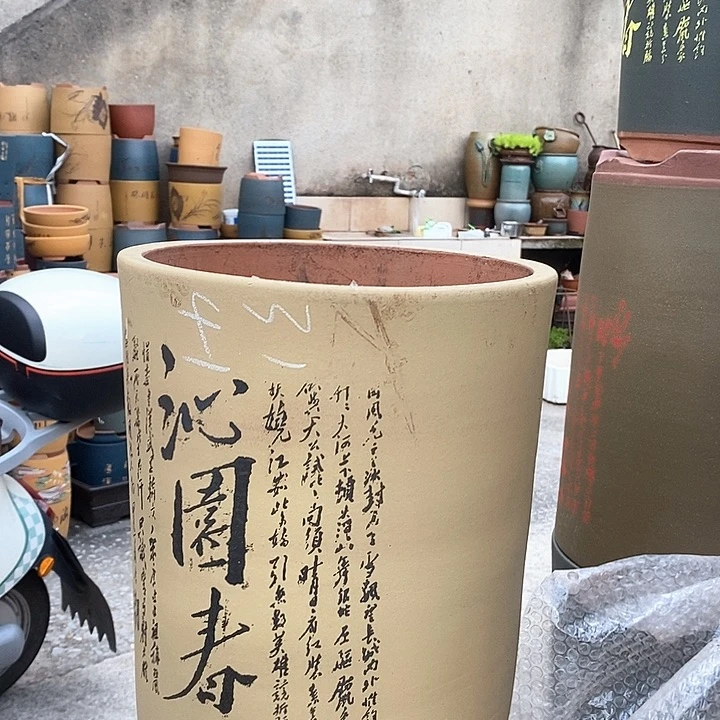 紫砂花盆盆栽植物花卉苗木种植