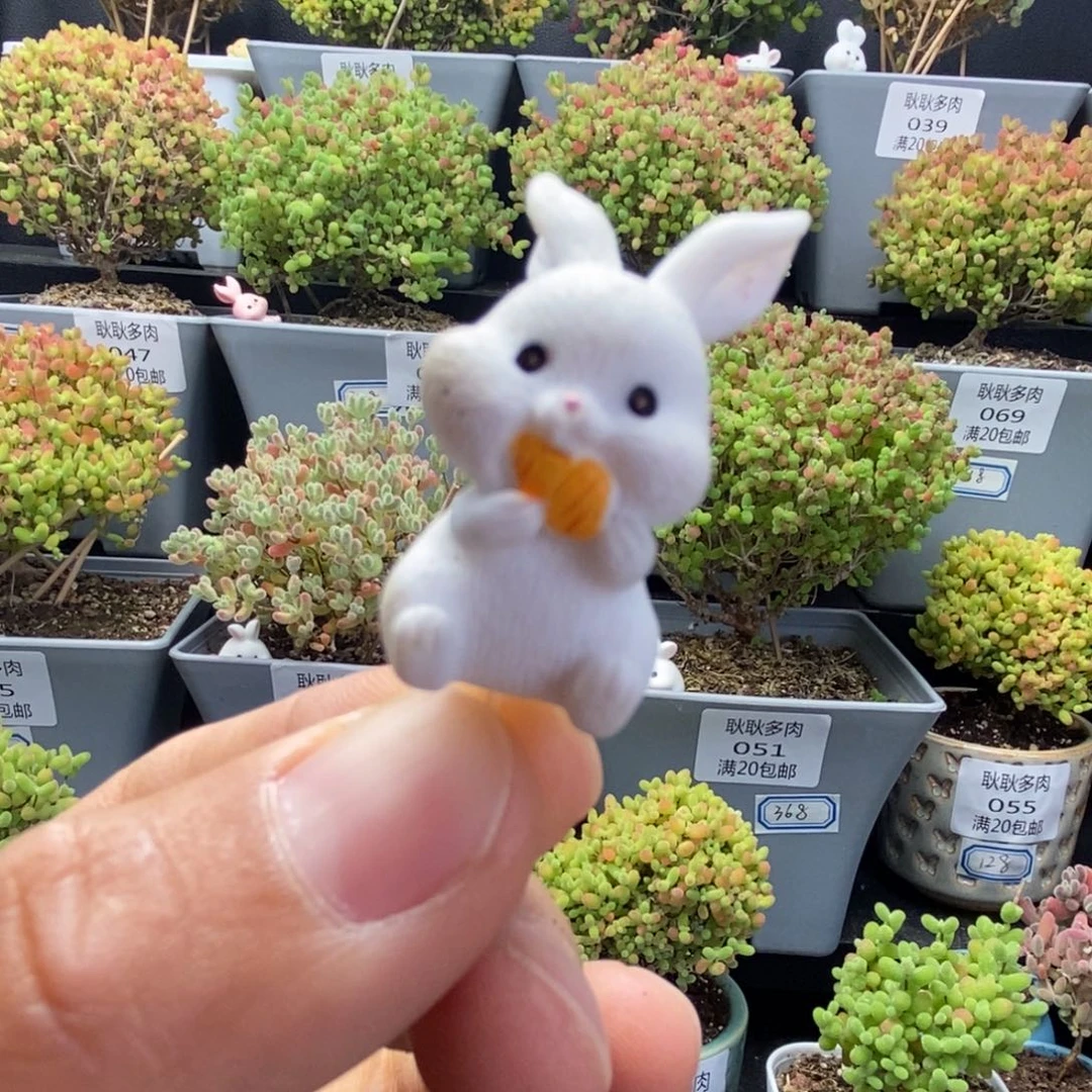 优选精品装饰兔子