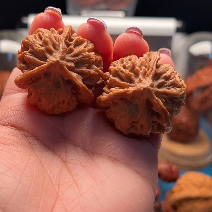 文玩核桃把件龙鳞纹头水货