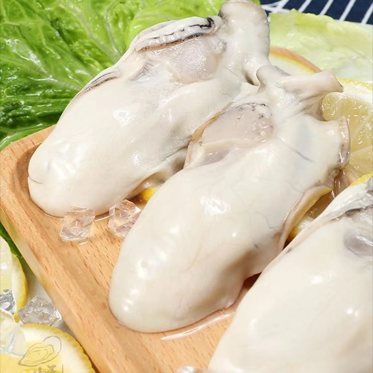 广东白蚝大生蚝肉新鲜肥美脆口爽口顺丰包邮新鲜生蚝肉鲜活现剥G