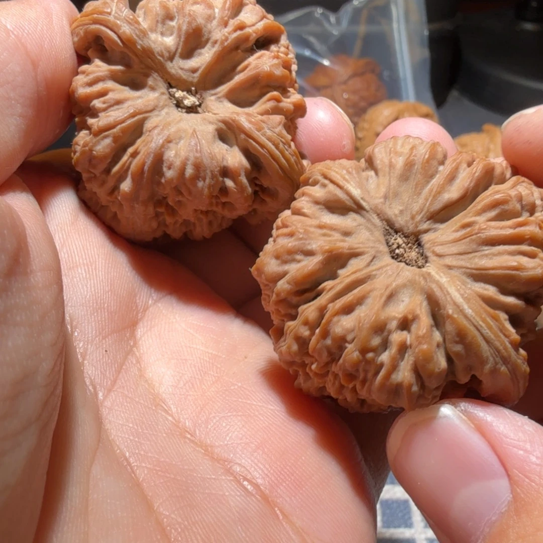 把件猴头核桃三角南疆