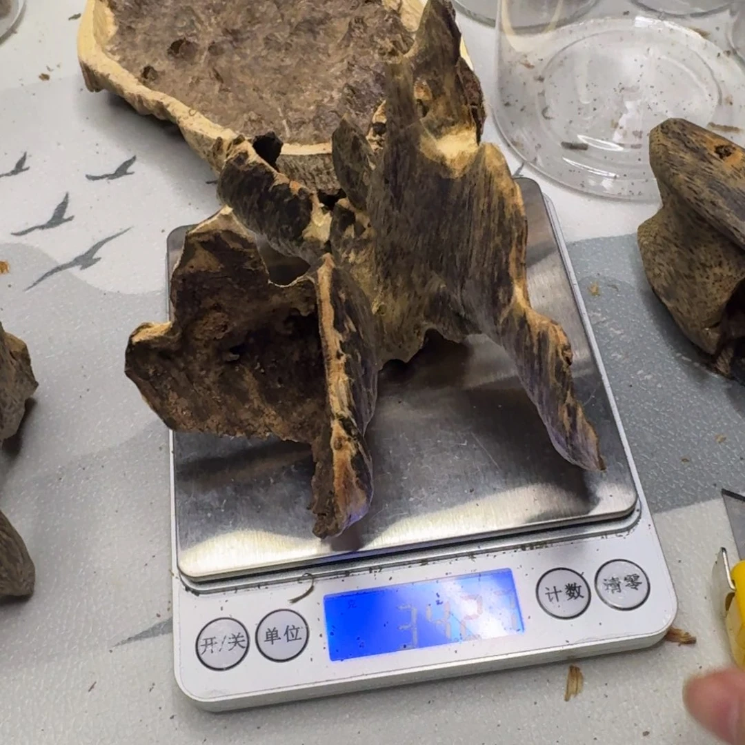 王***师沉香沉香碎屑虎斑紫棋壳子34克