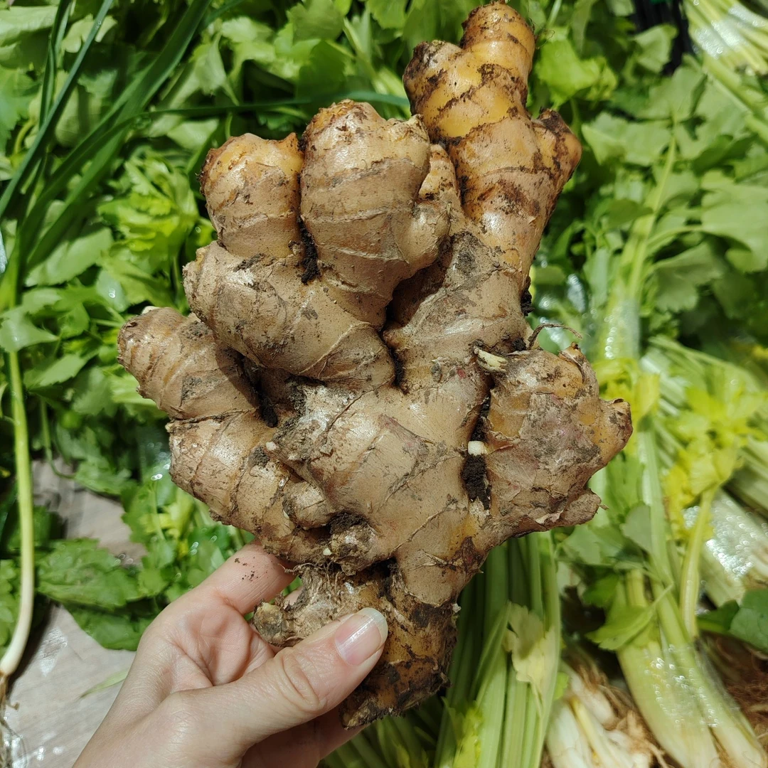 精品老姜/斤 约500g