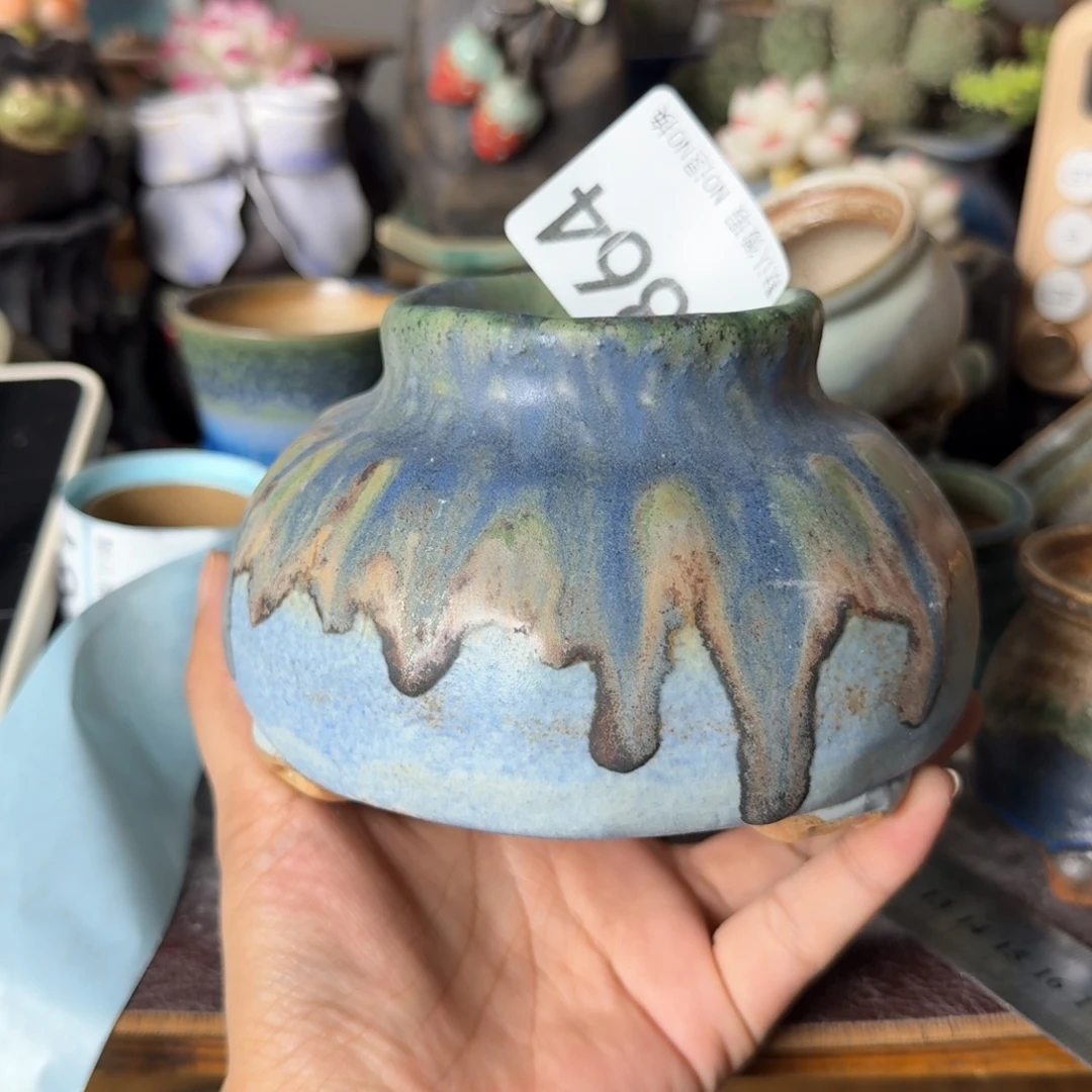 重庆小燕子欢迎大家864