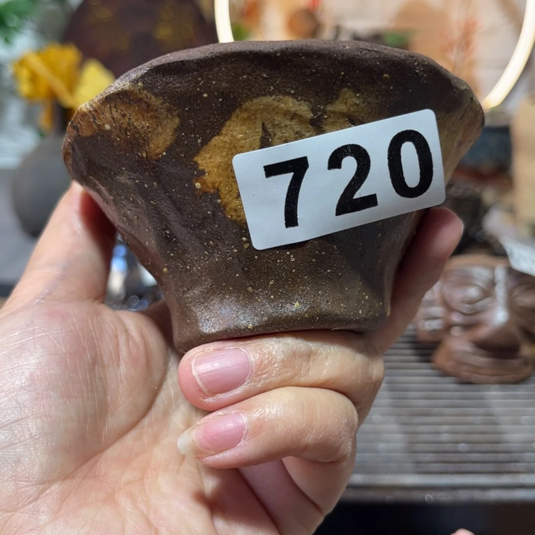 木村信弘柴烧保平