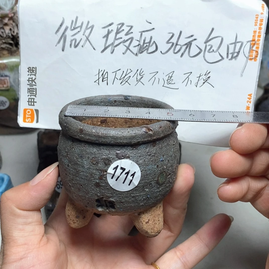 拍3送一9.9的拍5送同款