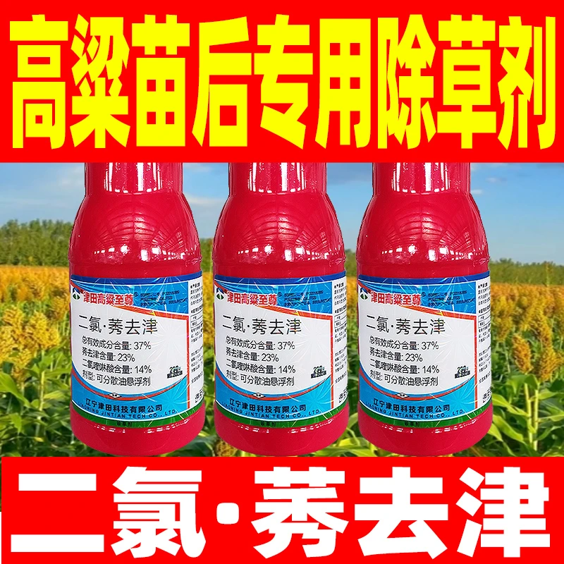 37%二氯莠去津除草剂高粱苗后专用除草剂高粱专用死草烂根剂正品