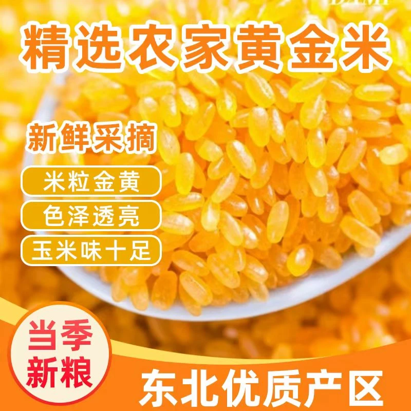 东北黄金米5斤粗粮糯玉米做的黄金米非大米五谷特产