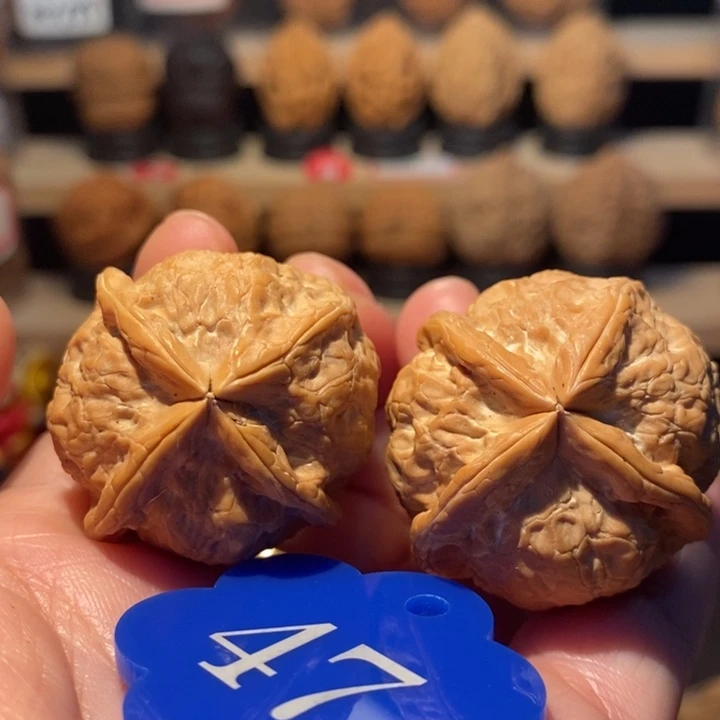 木质类粗筋蝴蝶四棱35尺寸