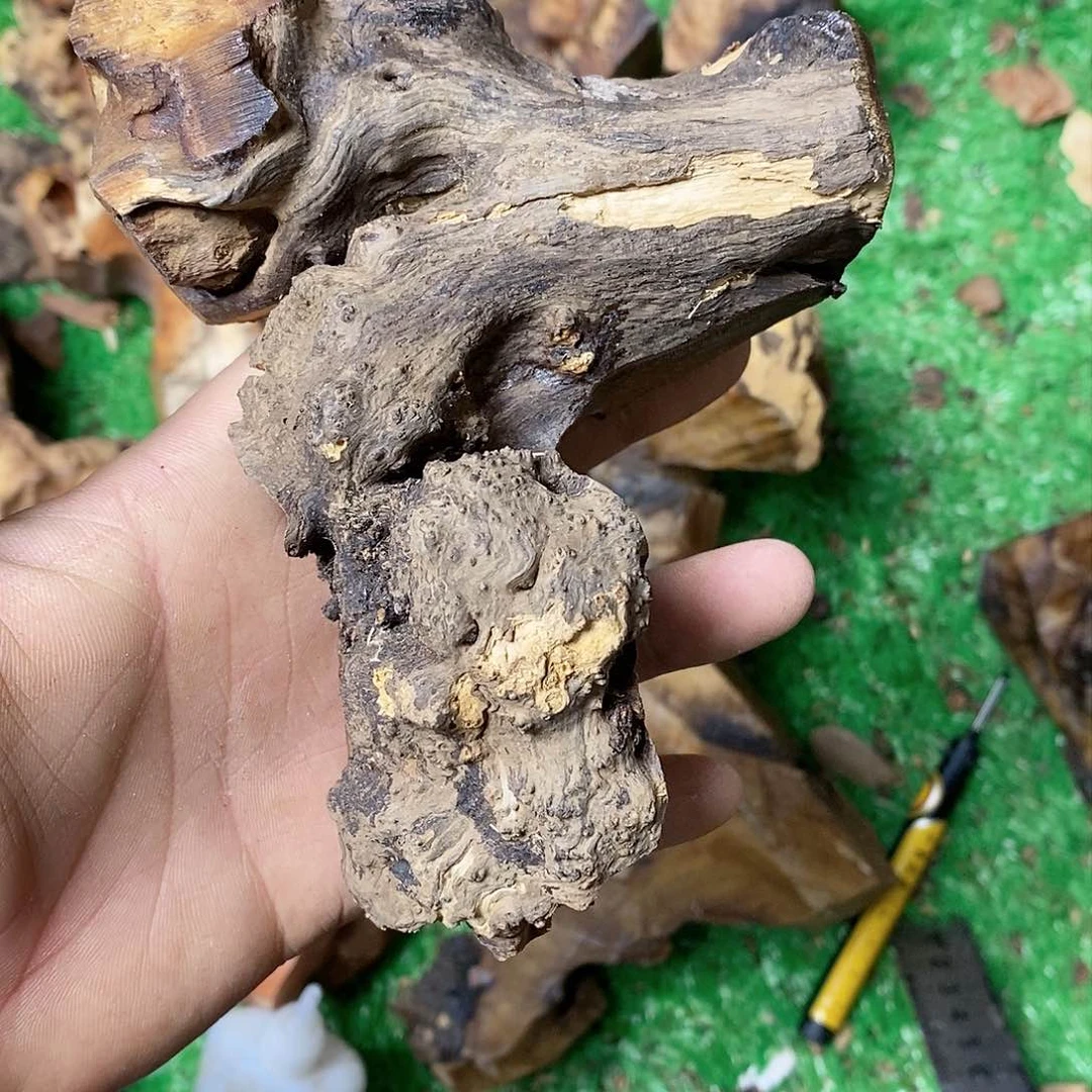 麻利疙瘩心**湾458