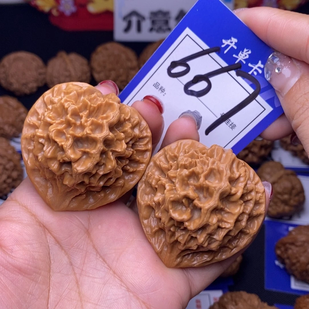 667号链接帝王4.7尺000000