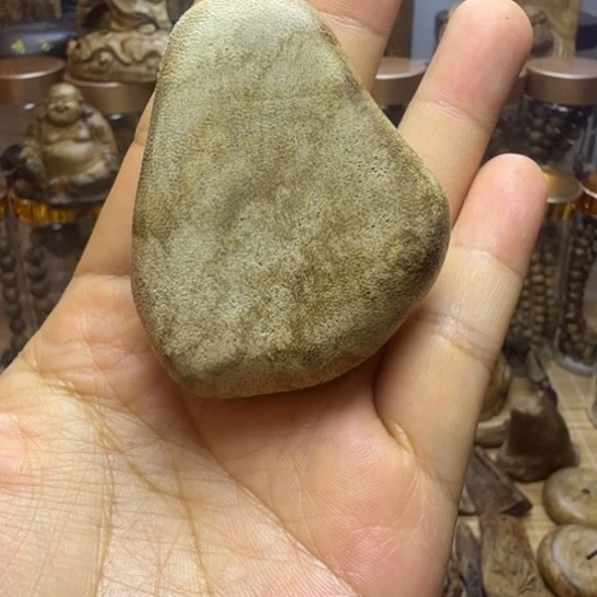 沉香碎屑沉香马尼涝天然野 11.3 克